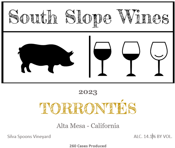 Product Image for 2023 Torrontes Bottle